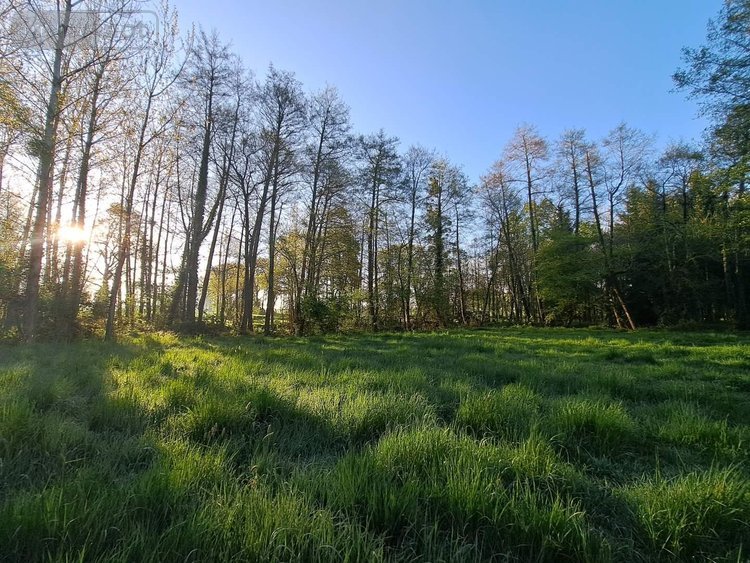 Terrains de loisirs bois etangs a vendre Craon 53400 Mayenne 34400 m2  115160 euros