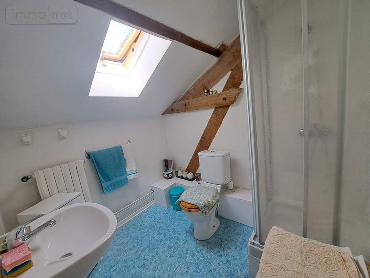 Maison a vendre La Selle-Craonnaise 53800 Mayenne 250 m2 11 pièces 343080 euros