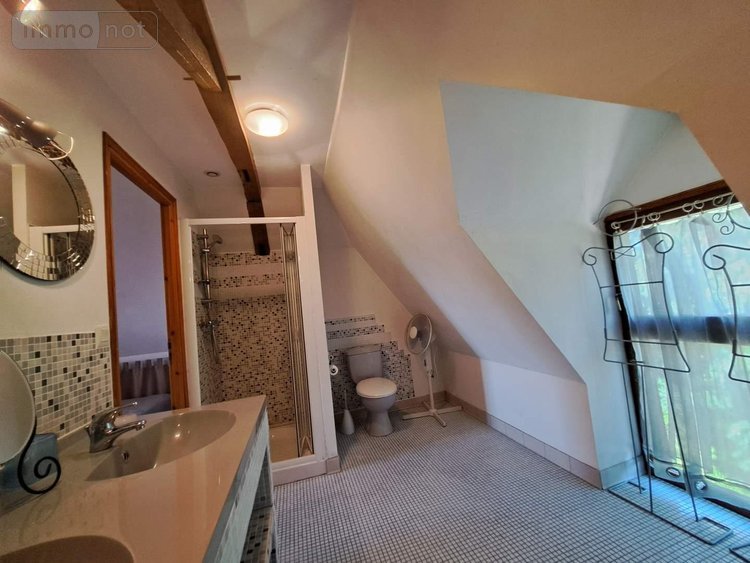 propriete a vendre Livré la Touche 53400 Mayenne 320 m2 11 pièces 384520 euros