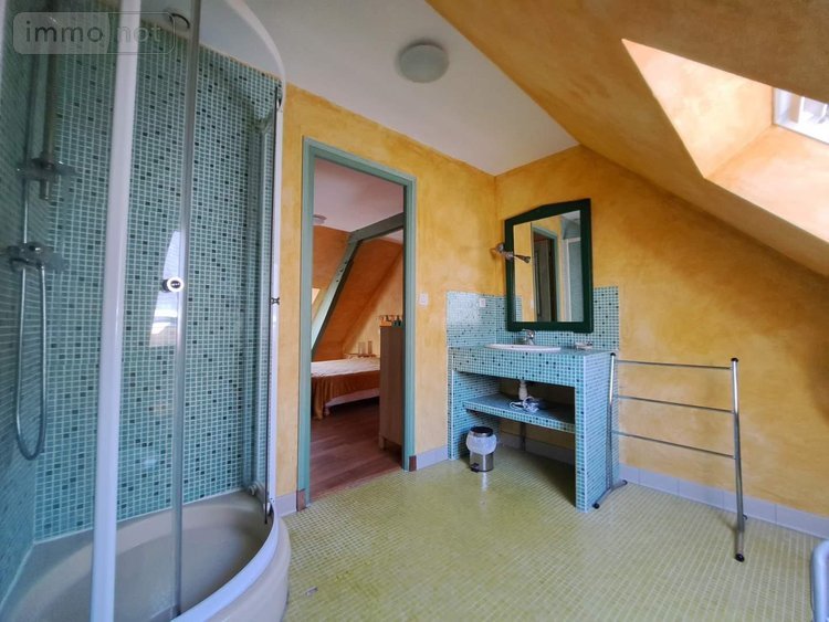 propriete a vendre Livré la Touche 53400 Mayenne 320 m2 11 pièces 384520 euros