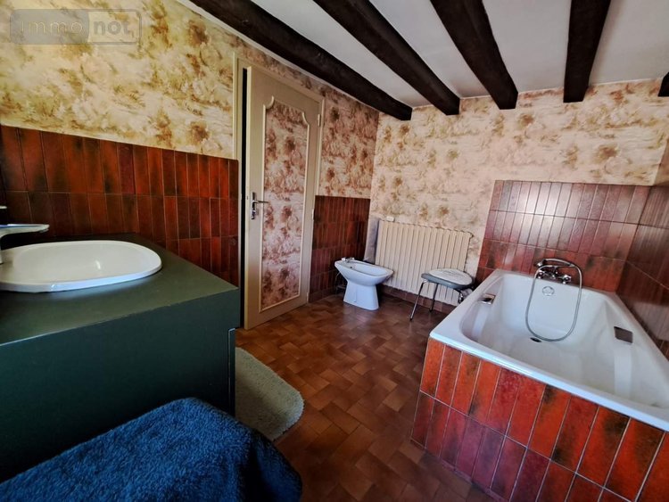 Maison a vendre Saint-Martin-du-Limet 53800 Mayenne 246 m2 10 pièces 420780 euros