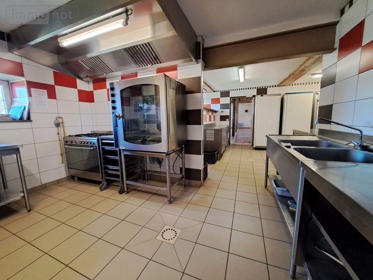 Fonds et murs commerciaux a vendre La Selle-Craonnaise 53800 Mayenne 733 m2  622800 euros