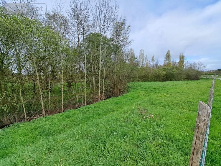 Terrains de loisirs bois etangs a vendre Prée d'Anjou 53200 Mayenne 12100 m2  63360 euros