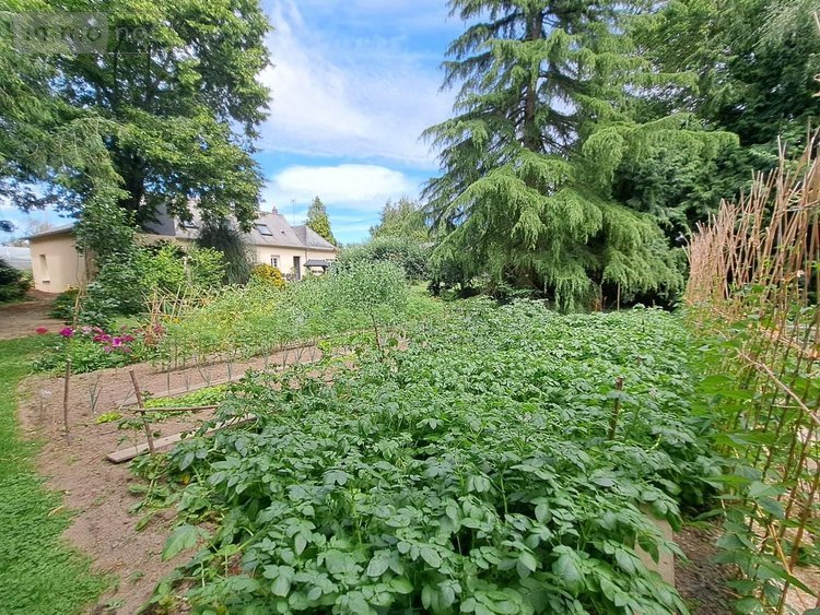 Maison a vendre Pommerieux 53400 Mayenne 139 m2 7 pièces 229120 euros
