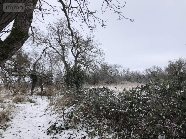 Maison a vendre Woël 55210 Meuse 110 m2 4 pièces 77500 euros