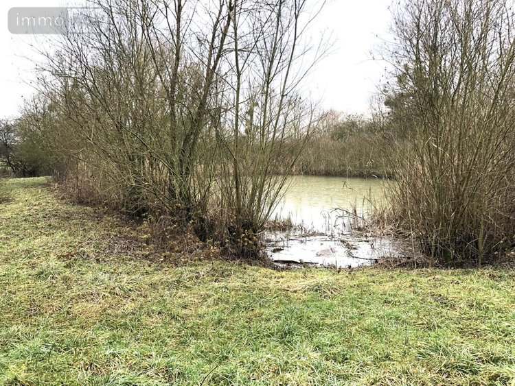 Maison a vendre Harville 55160 Meuse 273 m2 8 pièces 367500 euros