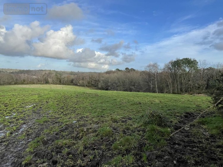 Bien agricole a vendre Malansac 56220 Morbihan 2000 m2  210000 euros