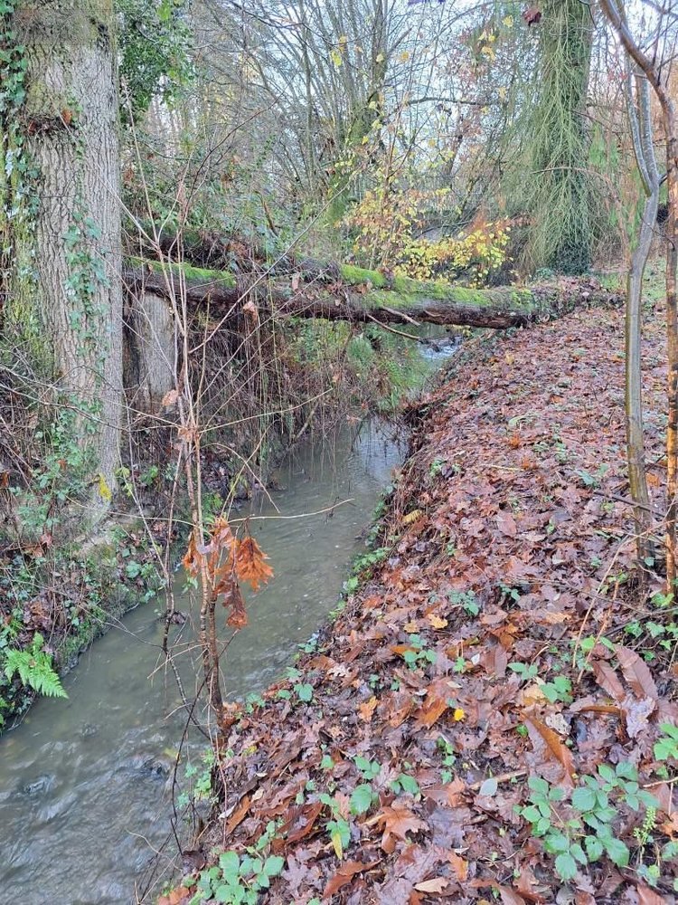 Maison a vendre Guilliers 56490 Morbihan 238 m2 6 pièces 237900 euros