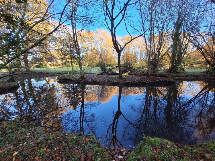 Maison a vendre Guilliers 56490 Morbihan 238 m2 6 pièces 237900 euros