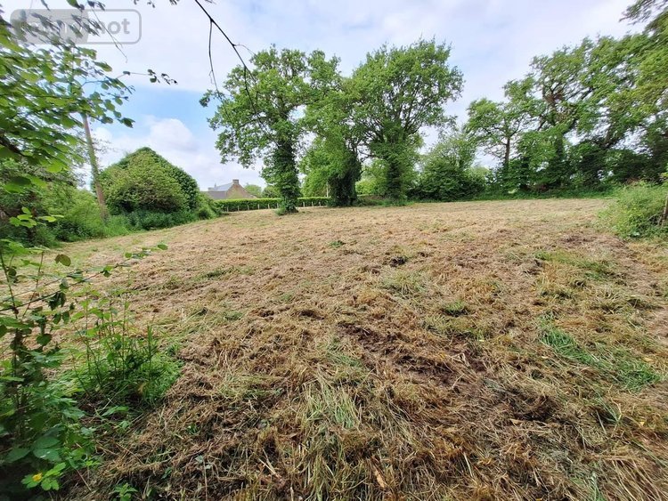 Bien agricole a vendre Ménéac 56490 Morbihan 100 m2  37200 euros