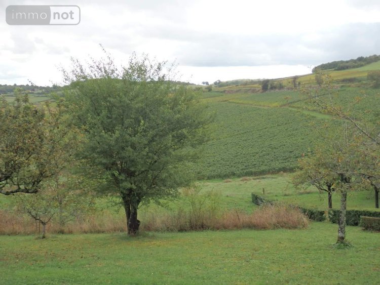 Viager maison Moroges 71390 Saône-et-Loire 118 m2 9 pièces 100000 euros