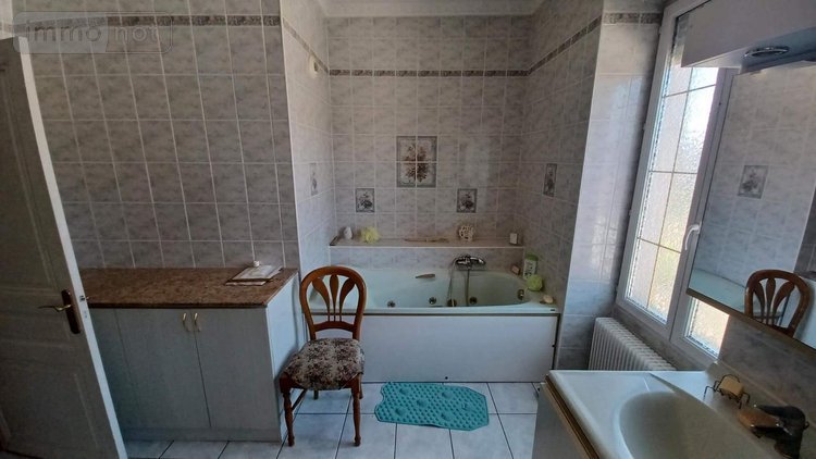 Maison a vendre Louhans 71500 Saône-et-Loire 285 m2 10 pièces 353500 euros