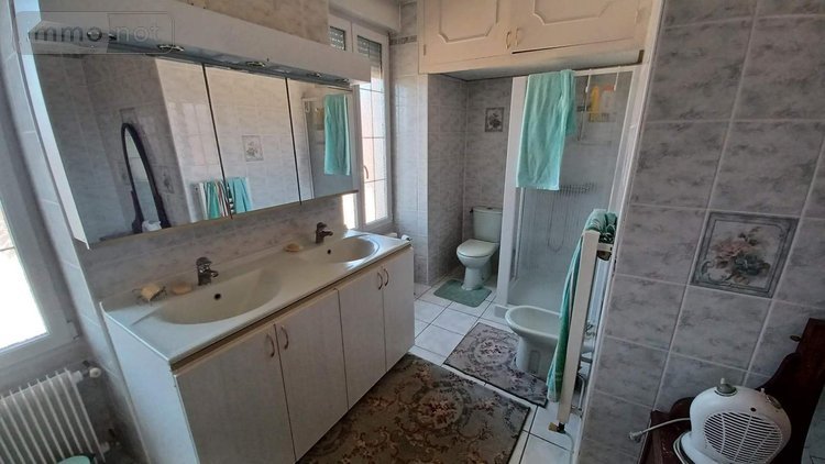 Maison a vendre Louhans 71500 Saône-et-Loire 285 m2 10 pièces 353500 euros