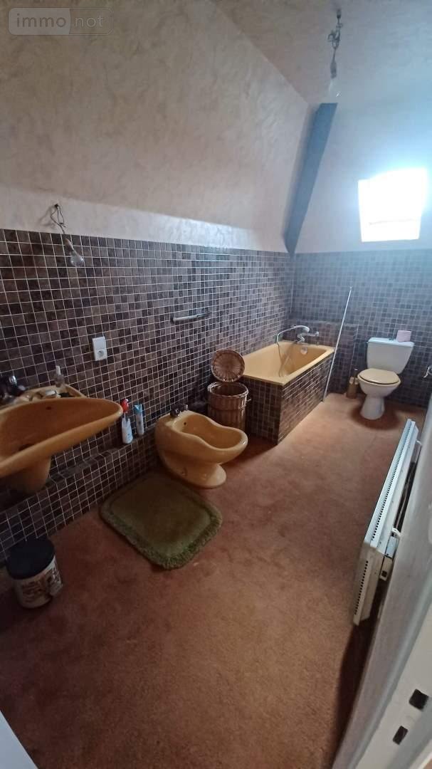 Maison a vendre Louhans 71500 Saône-et-Loire 285 m2 10 pièces 353500 euros