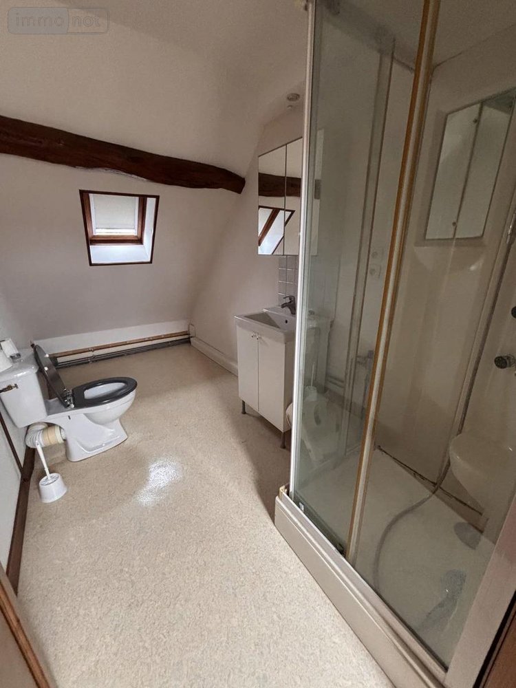 Maison a vendre Bonneveau 41800 Loir-et-Cher 161 m2 6 pièces 182500 euros