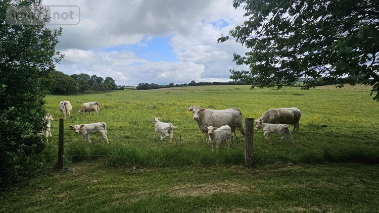 Maison a vendre Buchy 76750 Seine-Maritime 180 m2 7 pièces 482000 euros