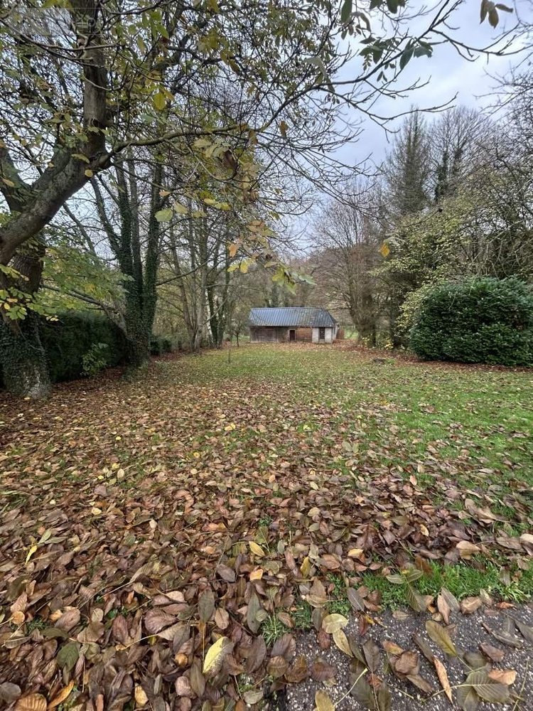 Maison a vendre Saint-Saëns 76680 Seine-Maritime 83 m2 5 pièces 177300 euros