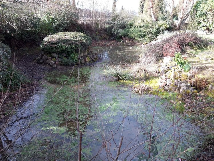 Maison a vendre Saint-Denis-le-Thiboult 76116 Seine-Maritime 192 m2 8 pièces 394400 euros