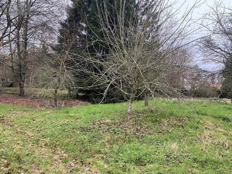 Terrain a batir a vendre Dompierre-sur-Authie 80150 Somme 1527 m2  27500 euros