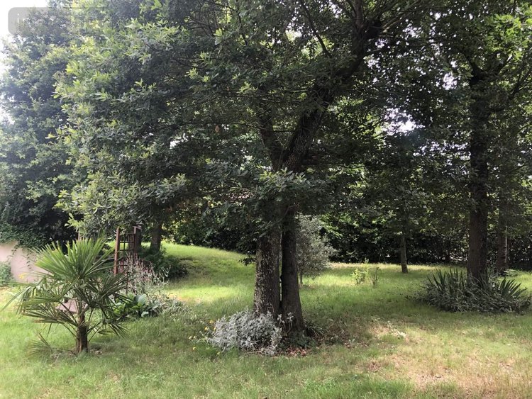 Maison a vendre Dissay 86130 Vienne 232 m2 6 pièces 260000 euros