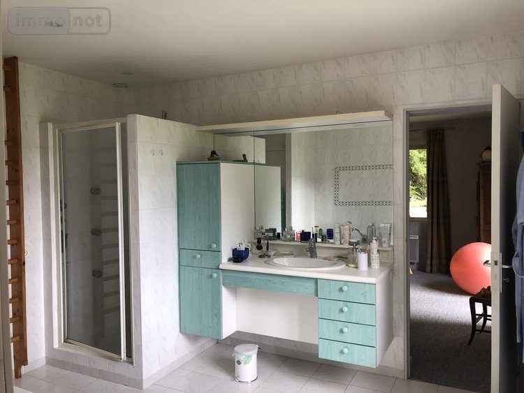 Maison a vendre Saint-Benoît 86280 Vienne 237 m2 7 pièces 577500 euros