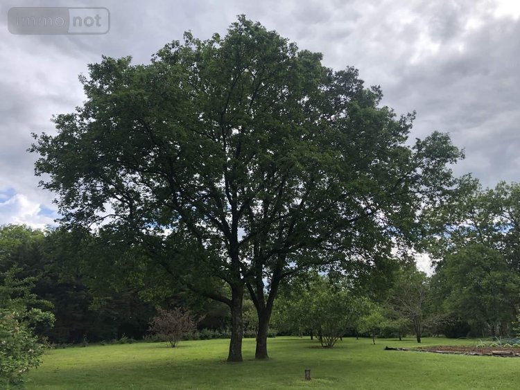 Maison a vendre Saint-Benoît 86280 Vienne 237 m2 7 pièces 577500 euros