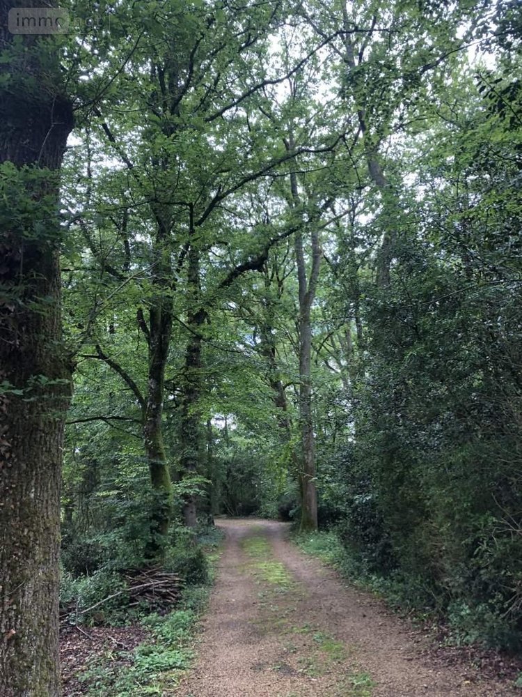 Maison a vendre Saint-Benoît 86280 Vienne 237 m2 7 pièces 577500 euros