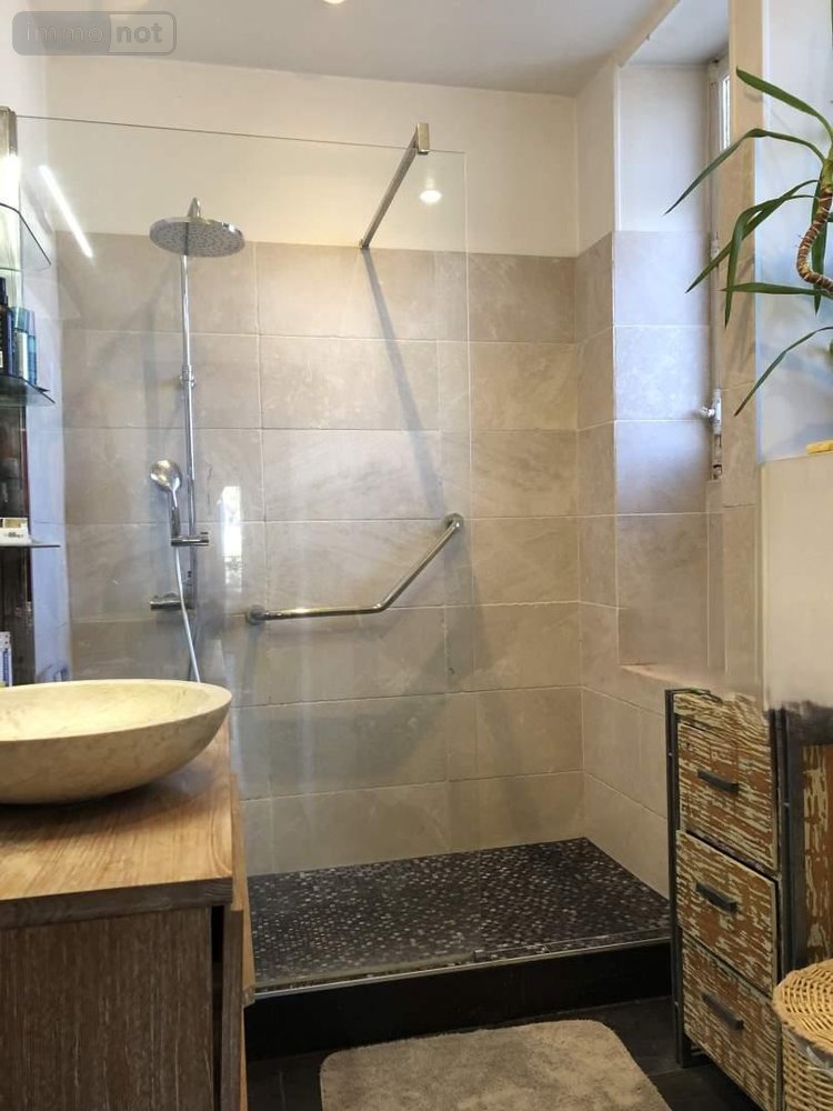 Maison a vendre Chauvigny 86300 Vienne 320 m2 15 pièces 449500 euros