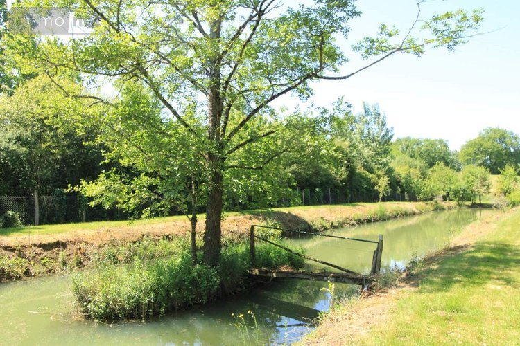 Terrains de loisirs bois etangs a vendre Chiré-en-Montreuil 86190 Vienne 10000 m2  22000 euros