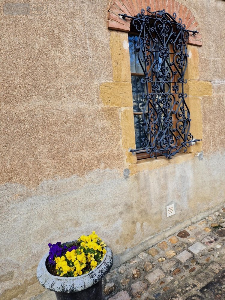 propriete a vendre Charolles 71120 Saône-et-Loire 400 m2 11 pièces 750000 euros