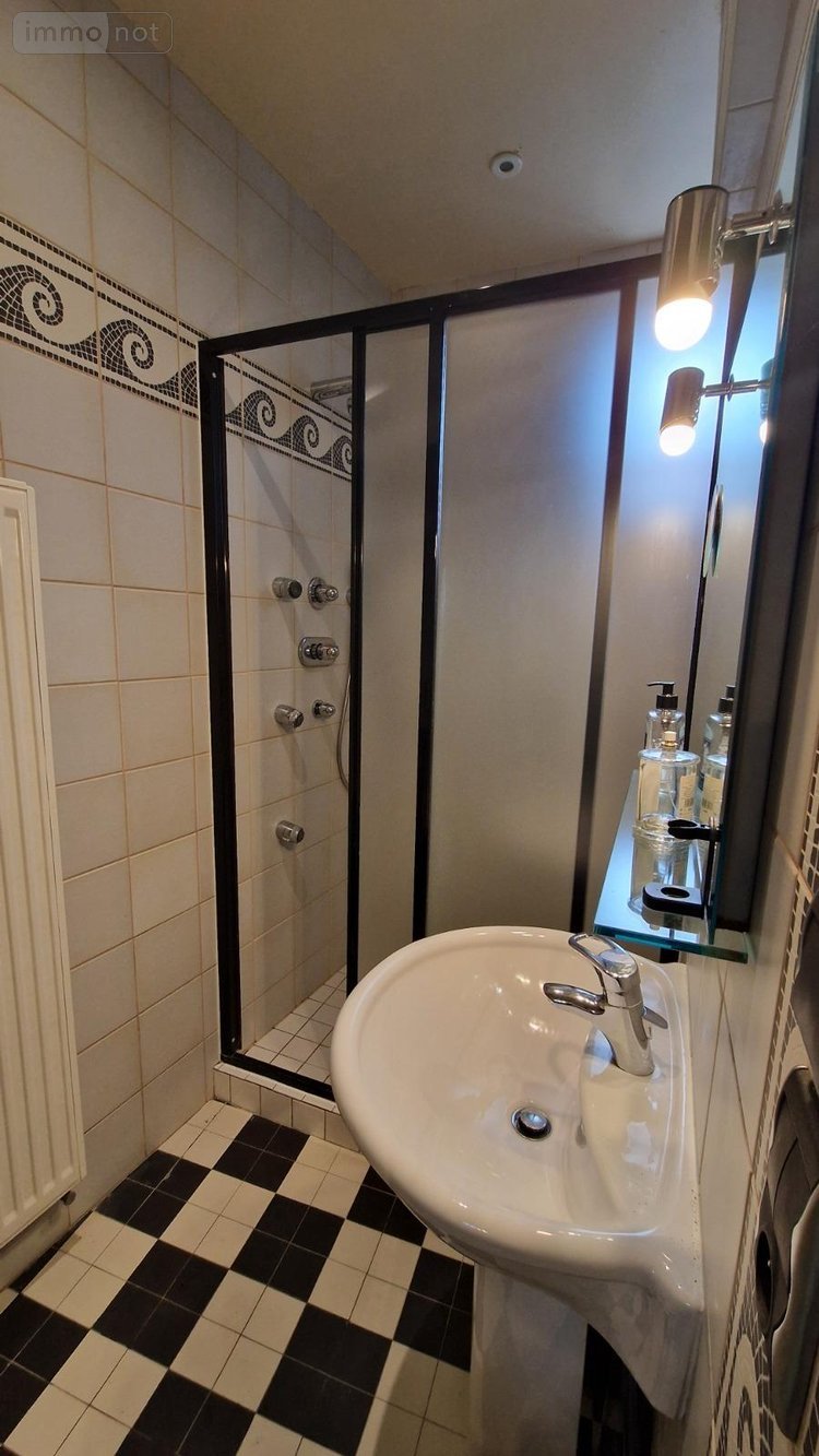 propriete a vendre Charolles 71120 Saône-et-Loire 400 m2 11 pièces 750000 euros