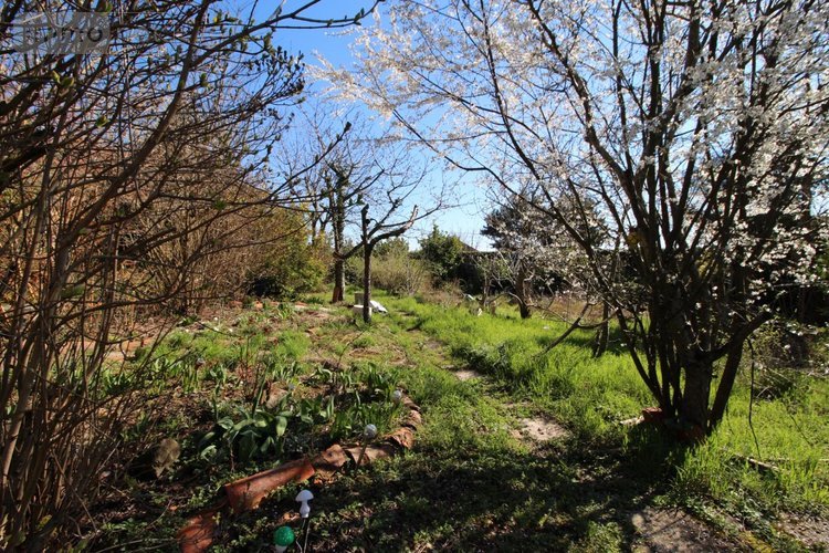 Maison a vendre La Chapelle-du-Mont-de-France 71520 Saône-et-Loire 160 m2 6 pièces 175000 euros