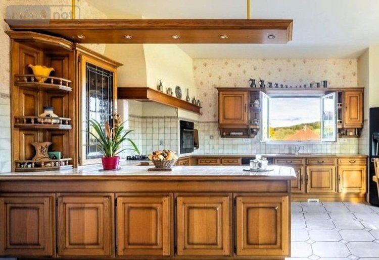 propriete a vendre Jouhe 39100 Jura 350 m2 13 pièces 397000 euros