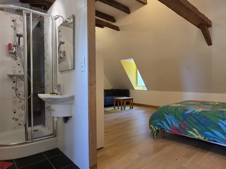Maison a vendre Château-Gontier-sur-Mayenne 53200 Mayenne 219 m2 9 pièces 474740 euros