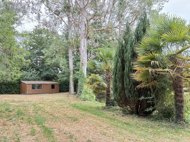 Terrains de loisirs bois etangs a vendre Brée 53150 Mayenne 8114 m2  69000 euros