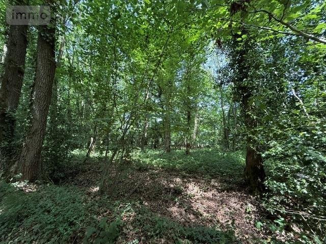 Divers a vendre Orbec 14290 Calvados 14560 m2  18970 euros