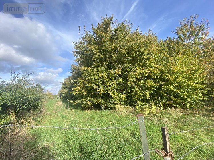 Maison a vendre Trescault 62147 Pas-de-Calais 127 m2 5 pièces 69800 euros