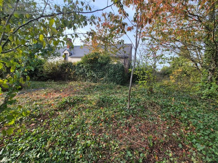 Maison a vendre Mulsans 41500 Loir-et-Cher 47 m2 2 pièces 90100 euros