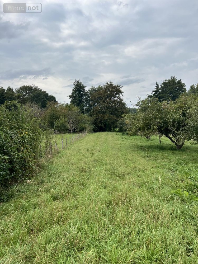 Terrains de loisirs bois etangs a vendre Lunay 41360 Loir-et-Cher 2855 m2  11800 euros