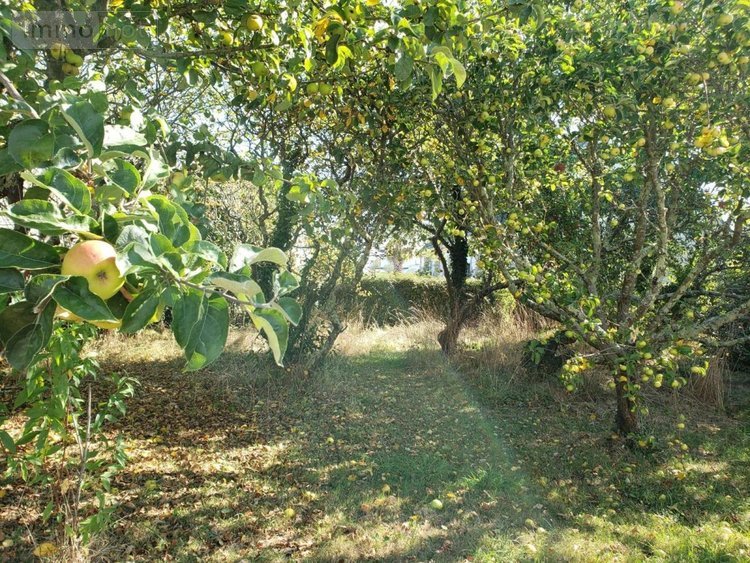 Maison a vendre Riantec 56670 Morbihan 130 m2 6 pièces 426400 euros