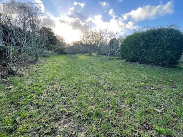 Terrain a batir a vendre Réville 50760 Manche 694 m2  136240 euros