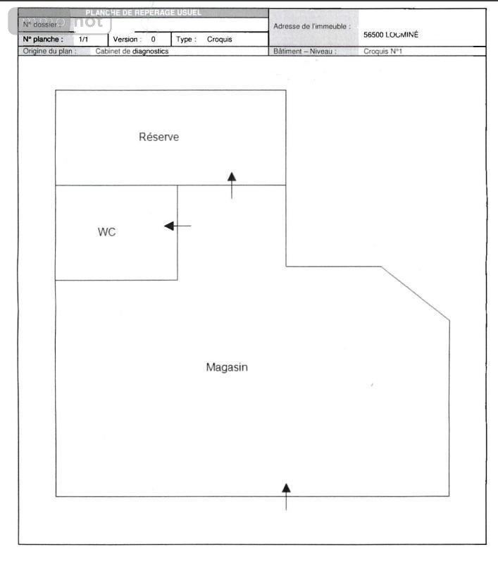 Immeuble a vendre Locminé 56500 Morbihan 120 m2  338140 euros