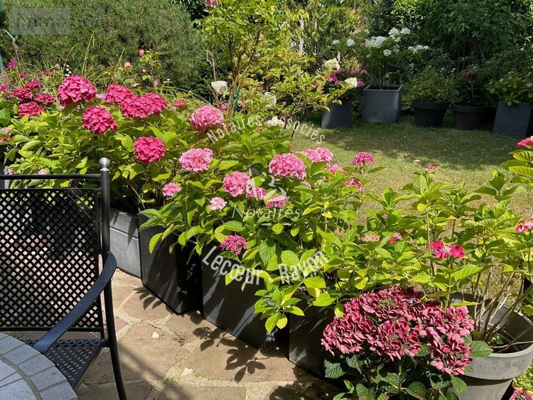 Maison a vendre Louveciennes 78430 Yvelines 135 m2  832000 euros