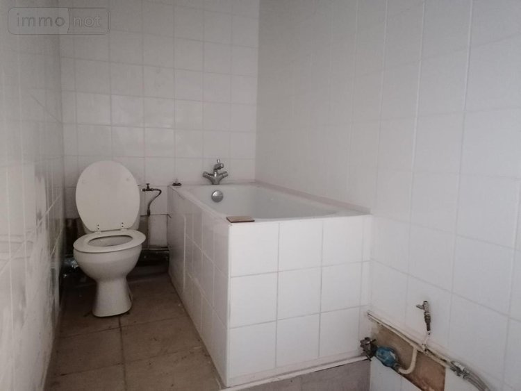 Immeuble a vendre Descartes 37160 Indre-et-Loire 183 m2  84000 euros