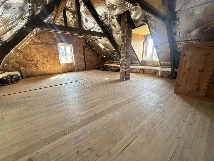 Maison a vendre Ruynes-en-Margeride 15320 Cantal 229 m2  340000 euros