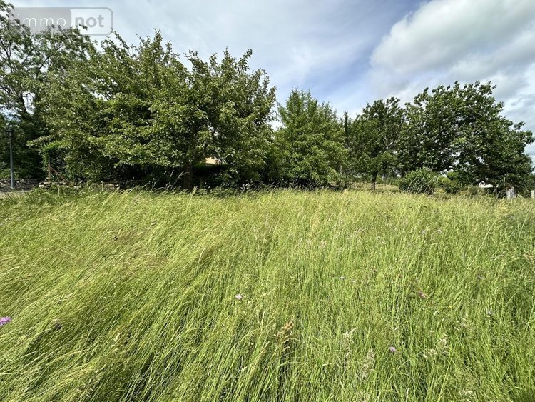 Viager maison Val-d'Arcomie 15320 Cantal 146 m2  50000 euros