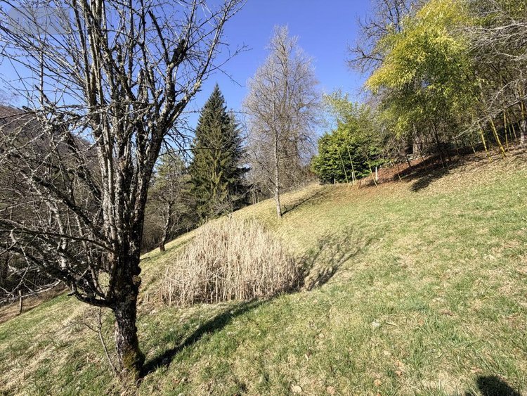 Maison a vendre Valserhône 01200 Ain 217 m2 6 pièces 395000 euros