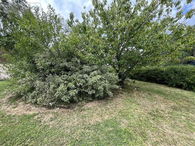 Terrain a batir a vendre Wagnon 08270 Ardennes  27400 euros