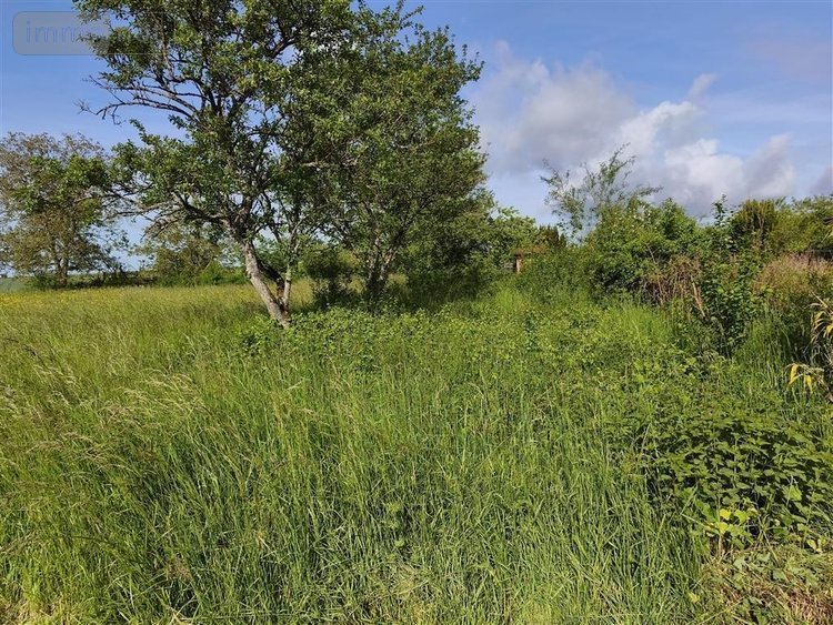 Terrain a batir a vendre Baâlons 08430 Ardennes 800 m2  23675 euros