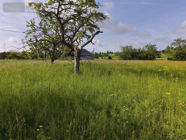 Terrain a batir a vendre Baâlons 08430 Ardennes 800 m2  23675 euros